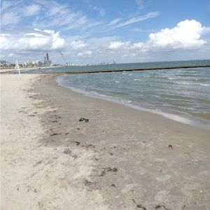 Meet your Posher, Aubrey